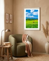 Nature framed in a tender room thumbnail