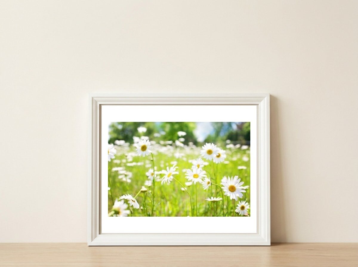 Flowers — framed, leaning against the wall