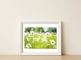 Flowers — framed, leaning against the wall thumbnail