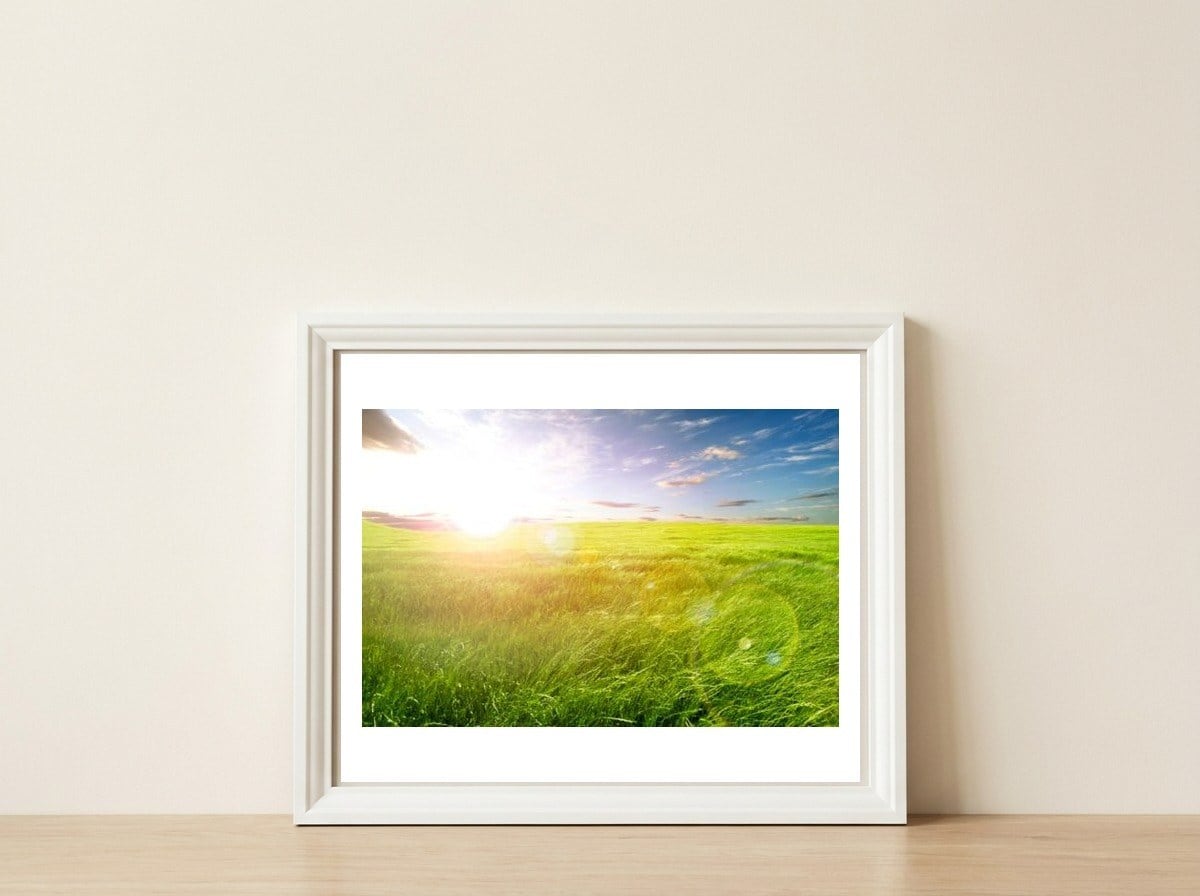Nature — framed, leaning against the wall