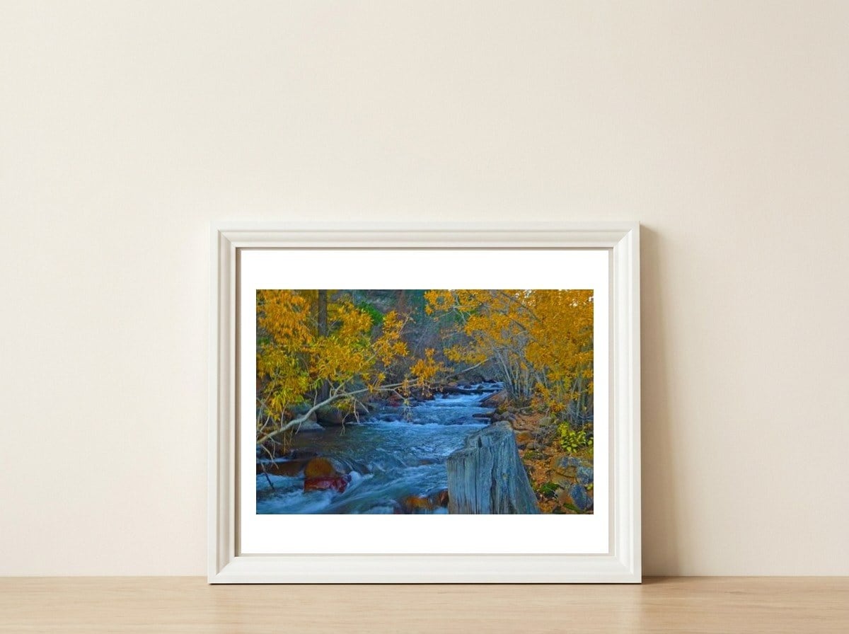Nature — framed, leaning against the wall