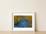 Nature — framed, leaning against the wall thumbnail