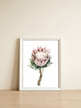 Protea — framed, leaning against the wall thumbnail