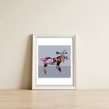 Crazy Ab Moose — framed, leaning against the wall thumbnail