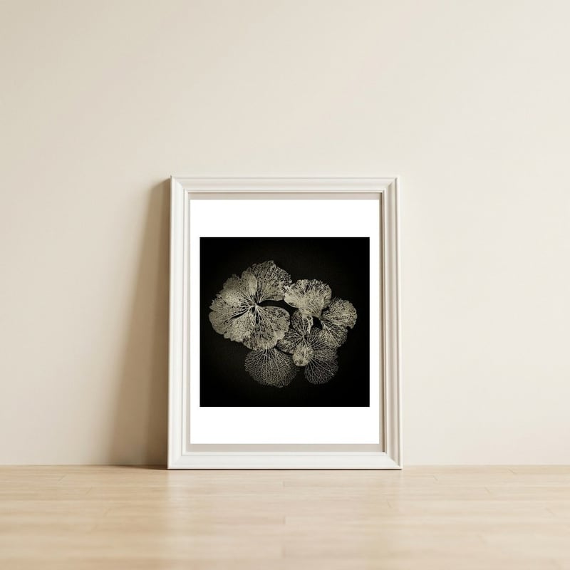 Hydrangea Petals — framed, leaning against the wall