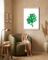 Pilea framed in a tender room thumbnail