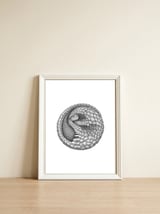 Pangolin no. 2 — framed, leaning against the wall thumbnail