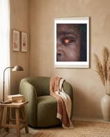 This Is The News framed in a tender room thumbnail