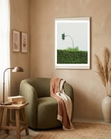 Urban Plant framed in a tender room thumbnail