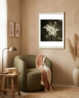 Wilting daffodil framed in a tender room thumbnail