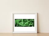 Verde E Belo — framed, leaning against the wall thumbnail