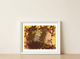 Jângal — framed, leaning against the wall thumbnail