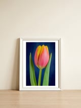 Tulip — framed, leaning against the wall thumbnail