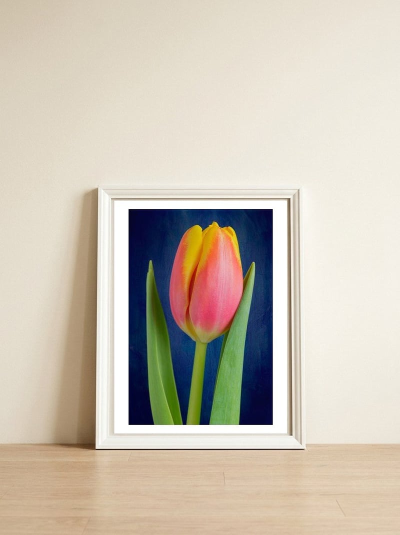 Tulip — framed, leaning against the wall