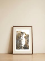 Guardian Cheetah — framed, leaning against the wall thumbnail