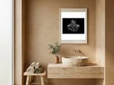 Backyard Flowers In Black And White No 49 framed in a serene room thumbnail