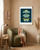 Lepidoptery8 framed in a tender room thumbnail