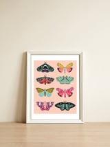 Lepidoptery No. 1 — framed, leaning against the wall thumbnail