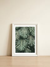 MONSTERA LEAVES — framed, leaning against the wall thumbnail