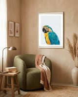 Macaw Portrait wearing gold glasses framed in a tender room thumbnail