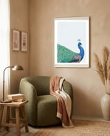 Peacock Portrait framed in a tender room thumbnail