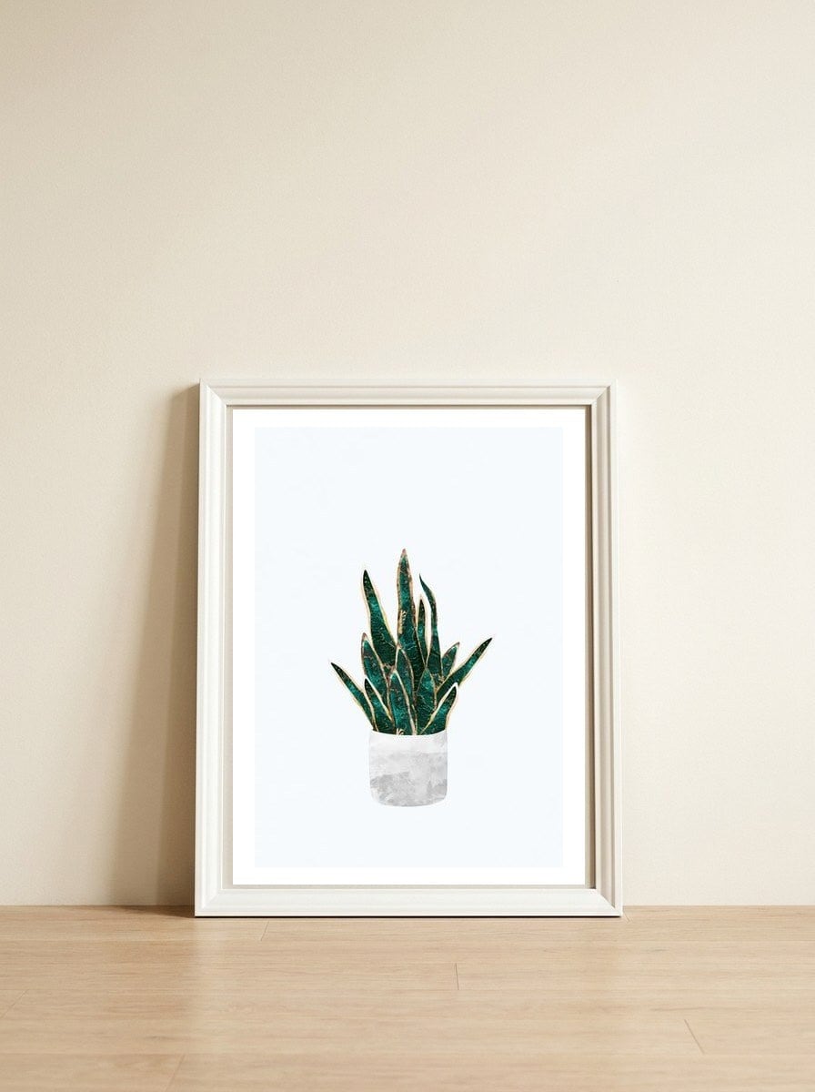 Snake Plant gold and green — framed, leaning against the wall