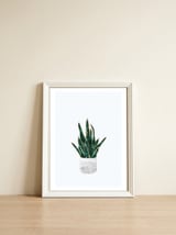 Snake Plant gold and green — framed, leaning against the wall thumbnail