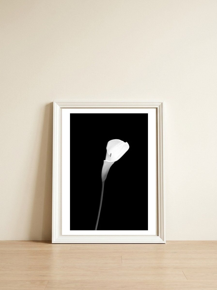 Calla | dark design — framed, leaning against the wall