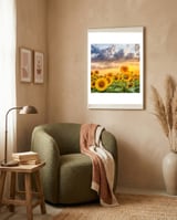 Sunflowers in sunset framed in a tender room thumbnail