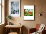 Ride framed in a focused room thumbnail