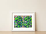 Abstracto Pop Nuevo B14 — framed, leaning against the wall thumbnail