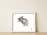 Andean condor — framed, leaning against the wall thumbnail