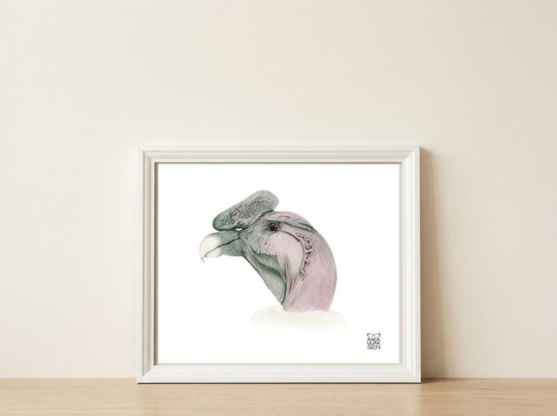 Andean condor — framed, leaning against the wall