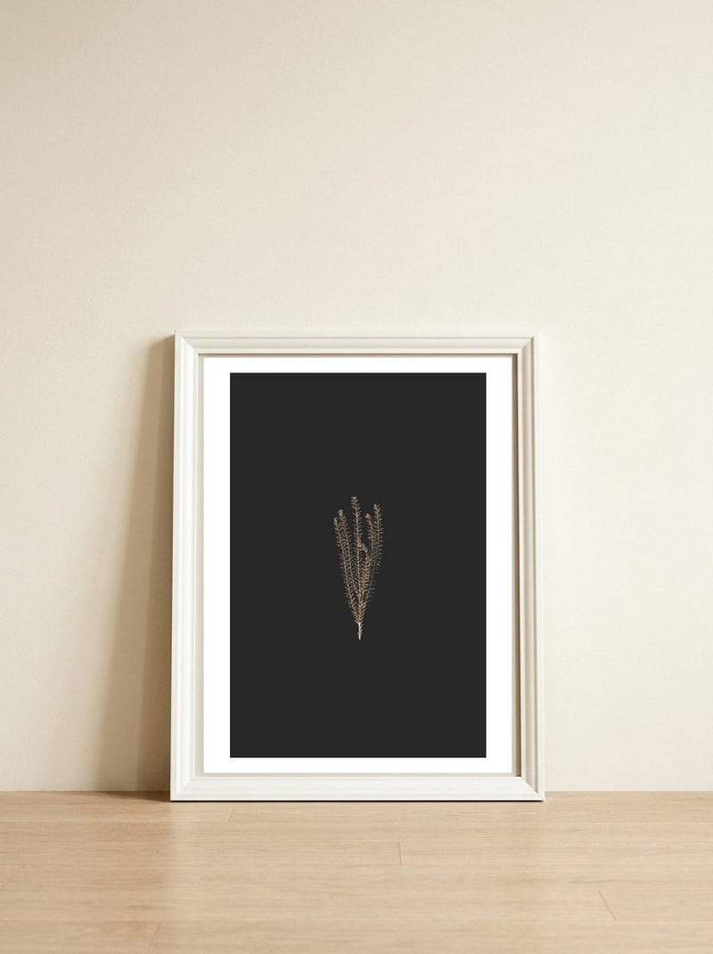 Delicate Fynbos Botanicals in Gold and Black — framed, leaning against the wall