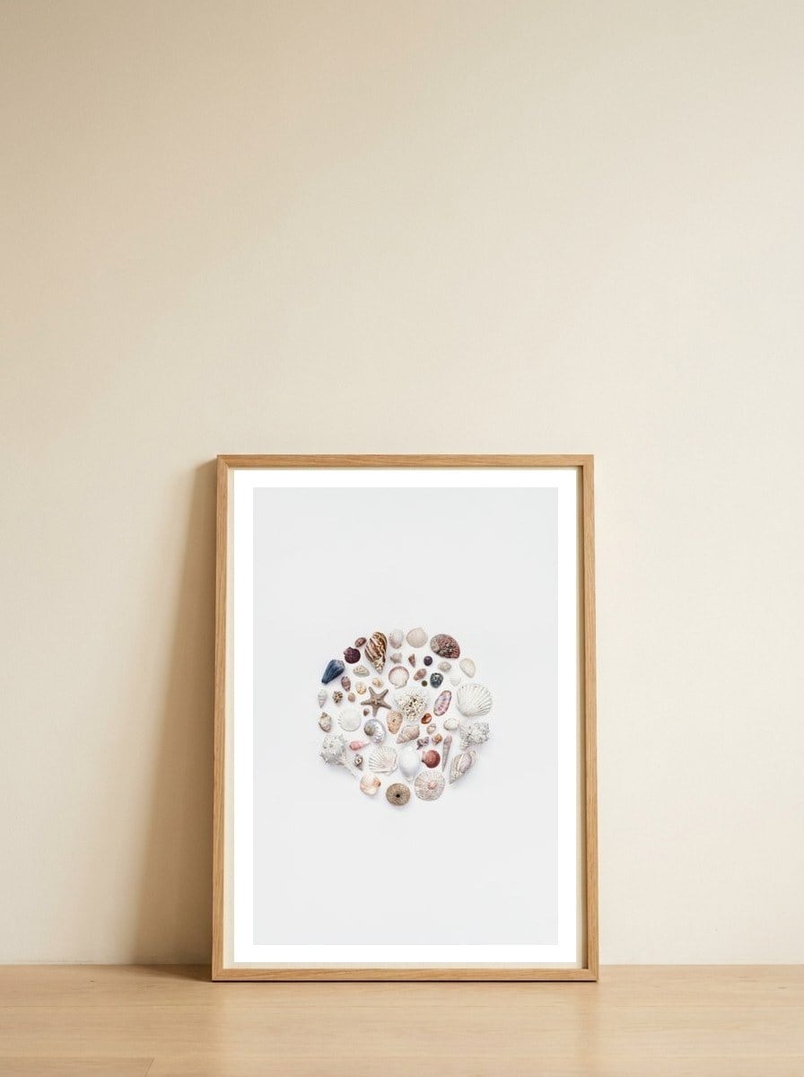 treasures-from-the-ocean-beach-sea-shells-coastal-2 — framed, leaning against the wall