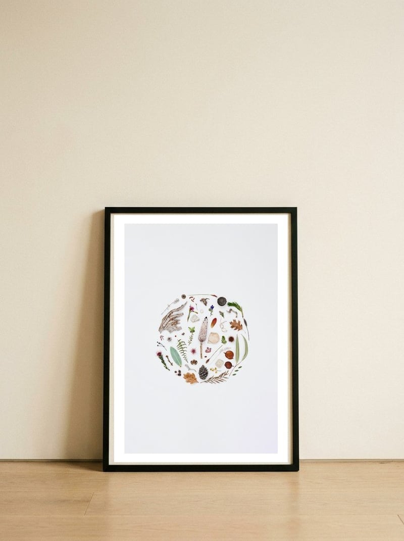 treasures-from-nature-no-1-florals-flowers-1 — framed, leaning against the wall