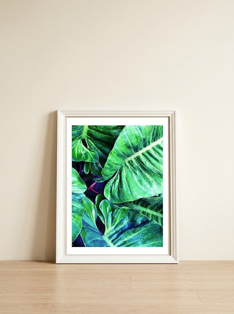 Another Botanical — framed, leaning against the wall
