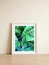 Another Botanical — framed, leaning against the wall thumbnail