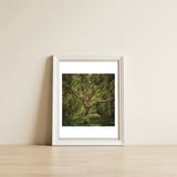 Spirits inside the wood — framed, leaning against the wall thumbnail