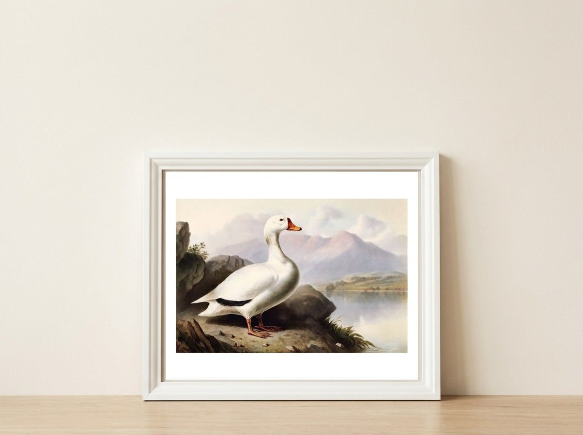 White Duck on the Lake Shore Vintage Painting — framed, leaning against the wall