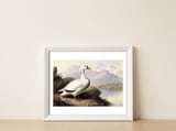 White Duck on the Lake Shore Vintage Painting — framed, leaning against the wall thumbnail
