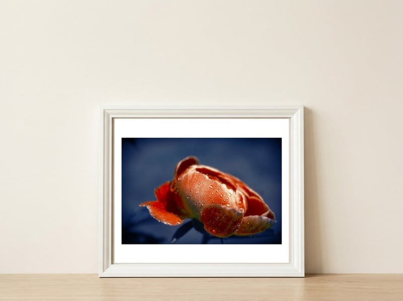 Peony Flower — framed, leaning against the wall