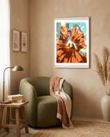  Star Wars framed in a tender room thumbnail