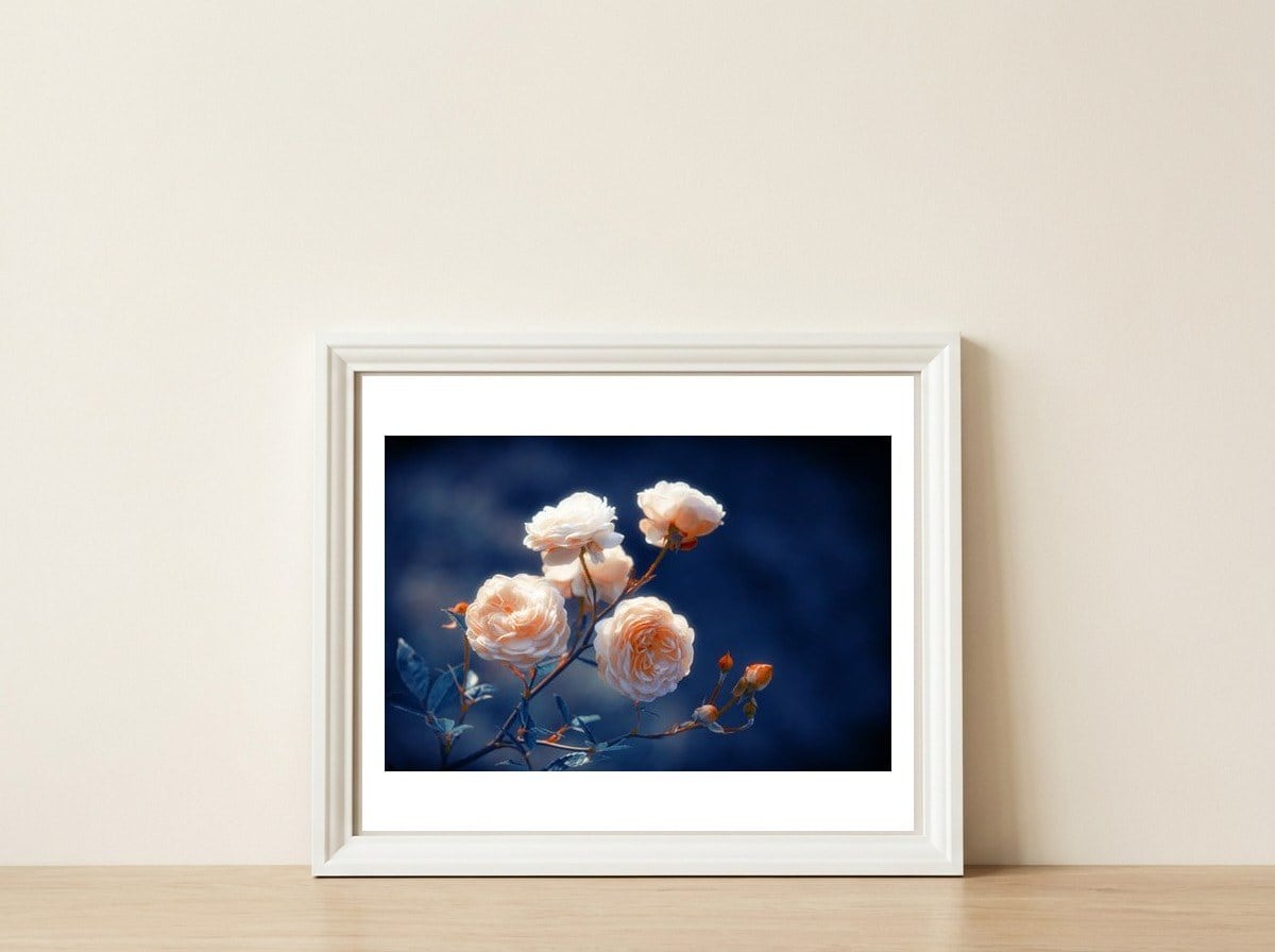 Rose Garden — framed, leaning against the wall