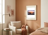 Longtail Sunset framed in a tender room thumbnail