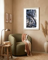 Tree from below  framed in a tender room thumbnail