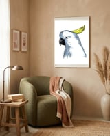Skecth Macaw framed in a tender room thumbnail