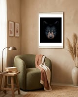 Shadows grizzly framed in a tender room thumbnail