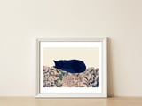 Kitty — framed, leaning against the wall thumbnail