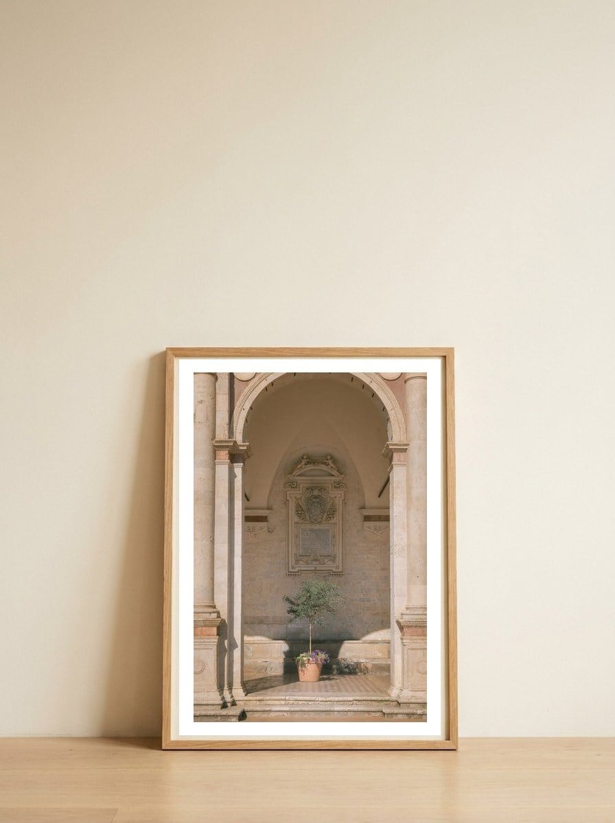 Sacred Olive Tree at the Cathedral — framed, leaning against the wall